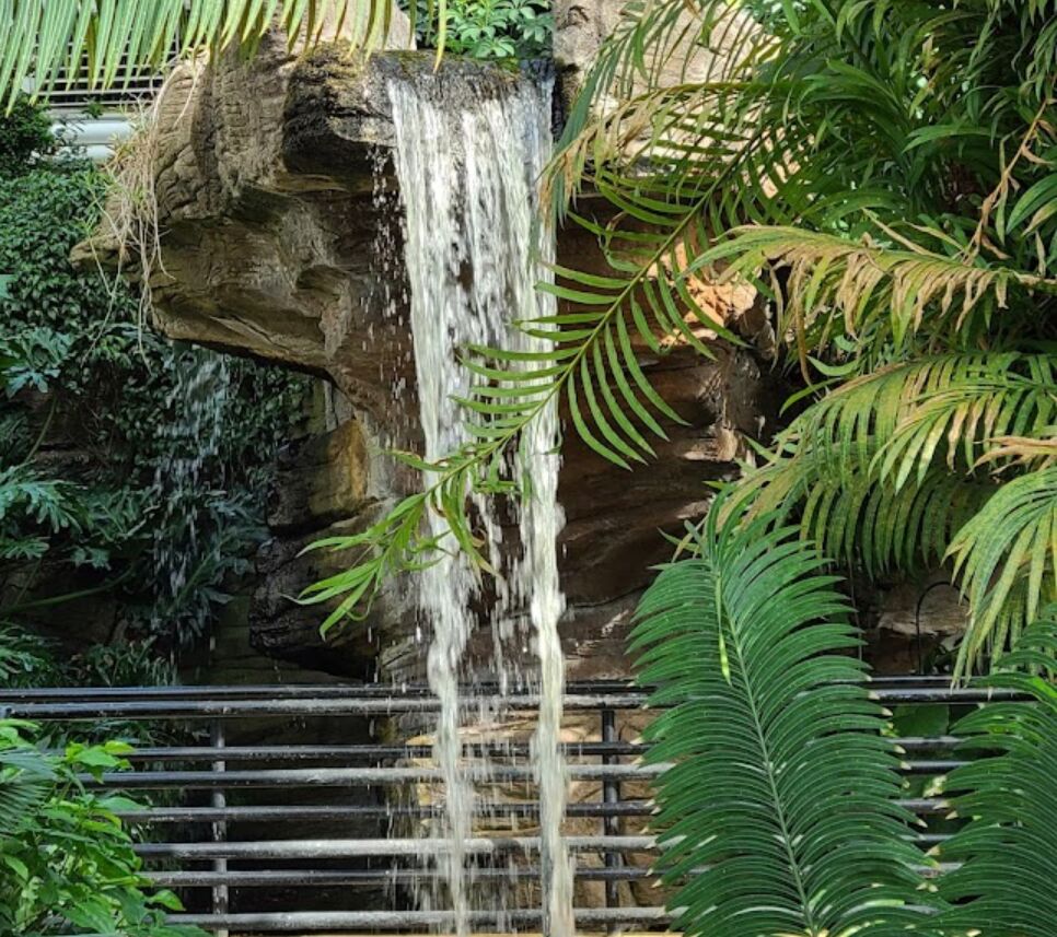 Picture of Foellinger-Freimann Botanical Gardens