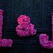 This hot pink and fuchsia floral monogram definitely made a statement, which is just what Louisa and Joseph were going for in their vibrant decor.