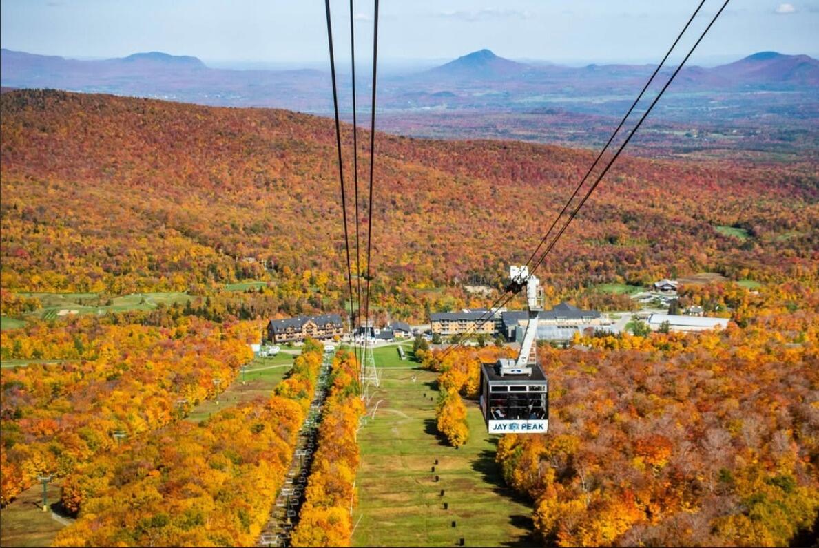 Picture of Fall Tram Rides