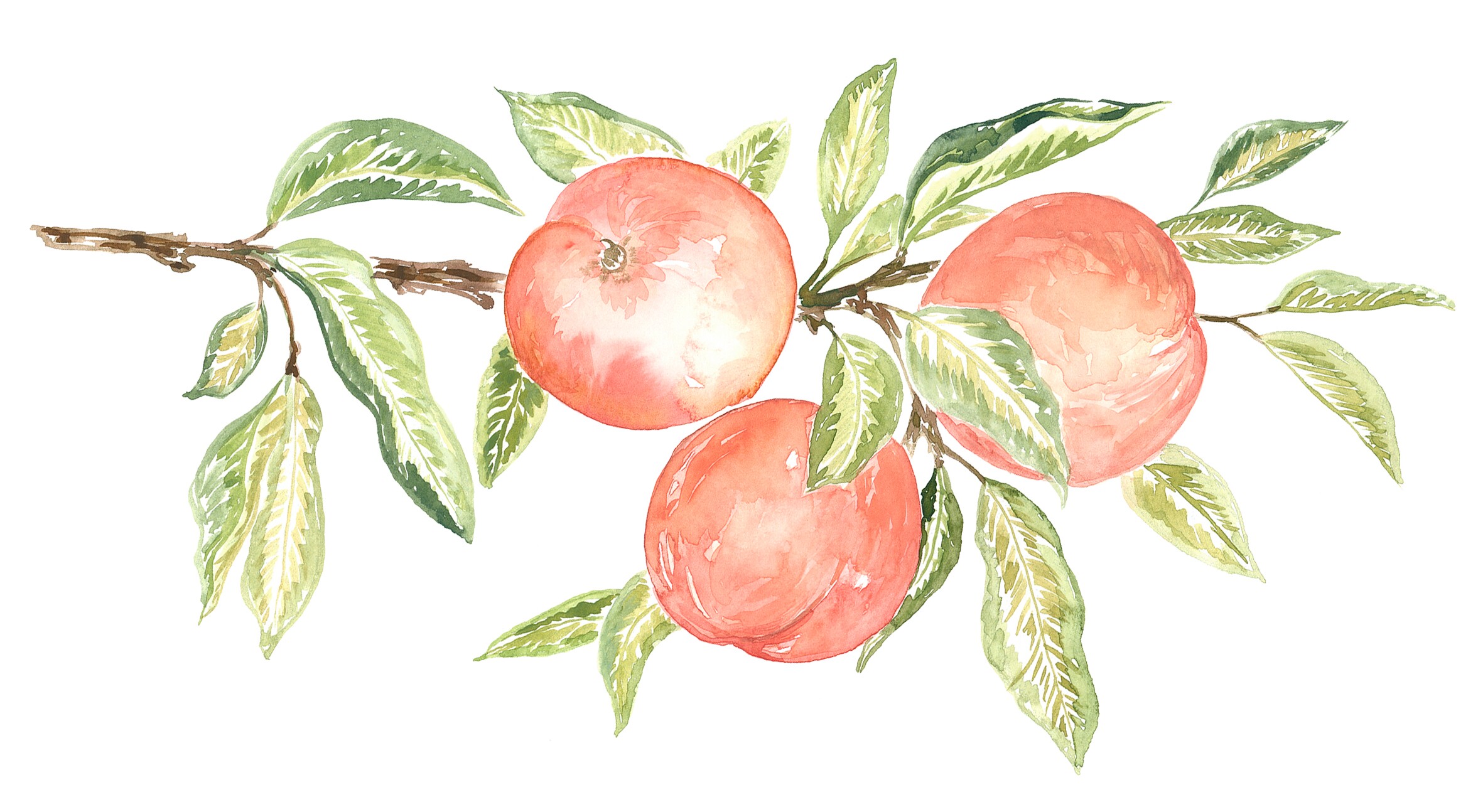 Lilly & Evan Home Page Banner