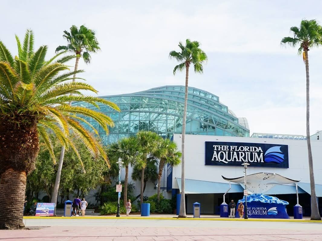 Picture of The Florida Aquarium