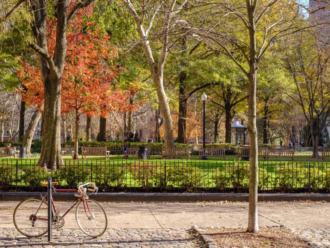 Picture of Rittenhouse Square