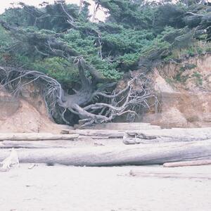 Gallery Photo 2