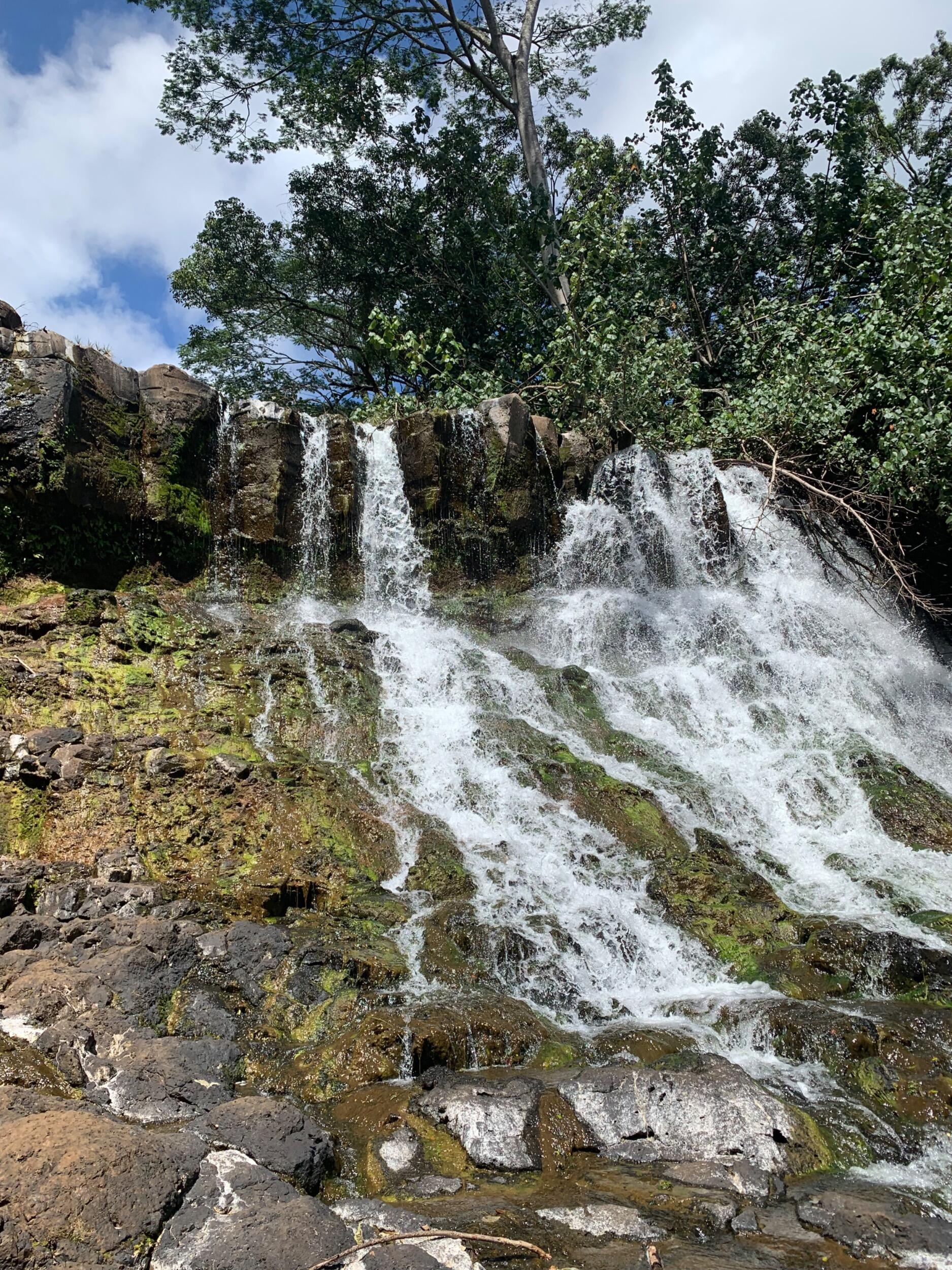 Picture of Ho'opi'i Falls Trailhead