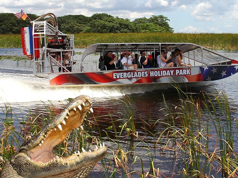 Picture of Everglades Holiday Park Airboat Tours and Rides