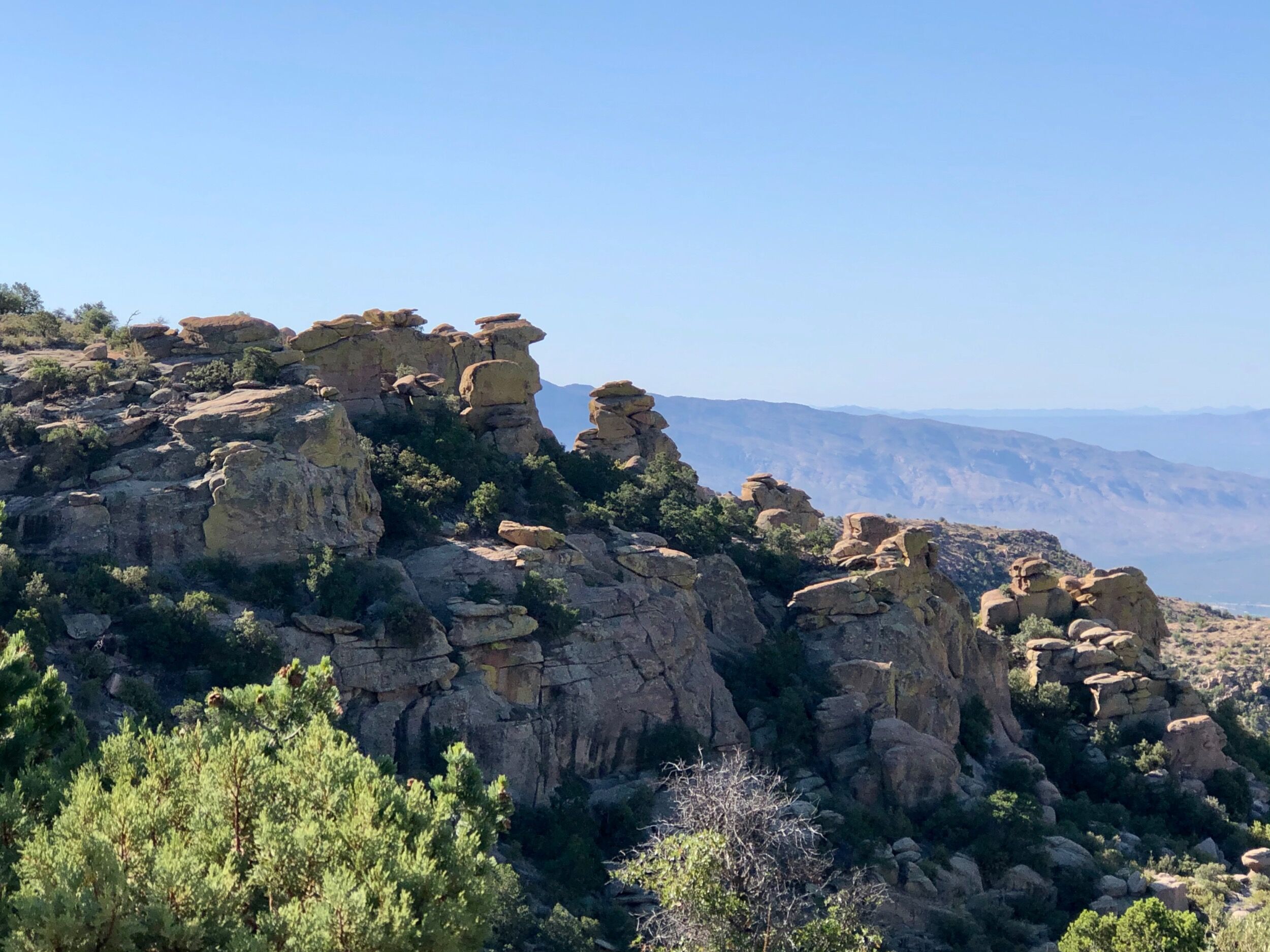 Picture of Mt Lemmon 