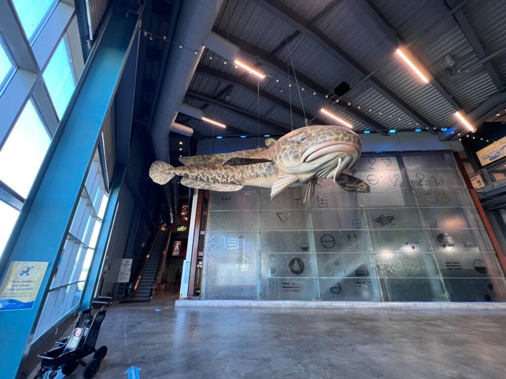 Picture of Visit the Great Lakes Aquarium