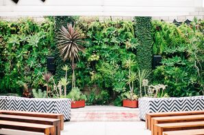 Modern Ceremony Site with Plant and Succulent Backdrop