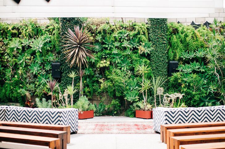 Modern Ceremony Site with Plant and Succulent Backdrop