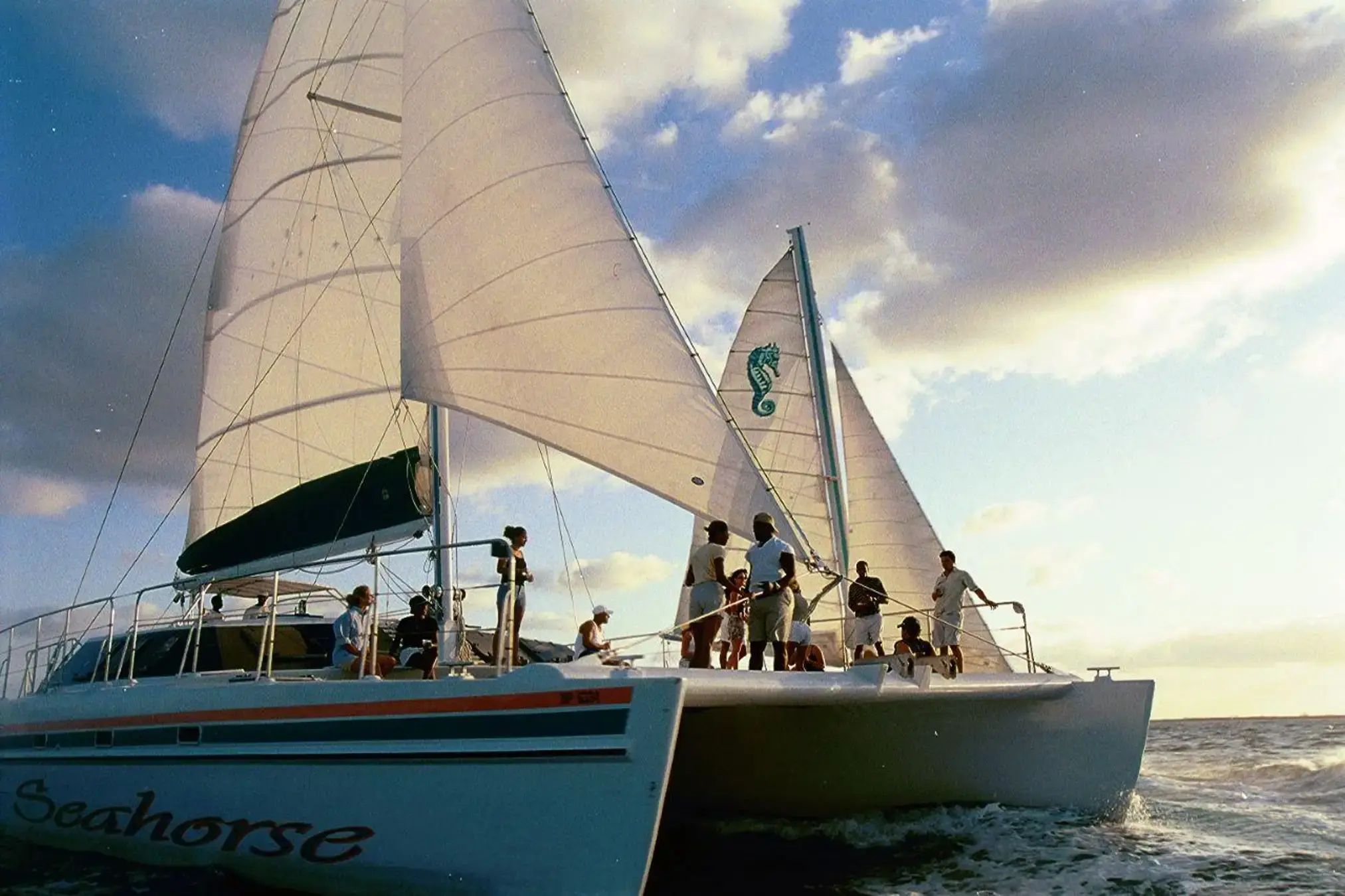 Picture of Seahorse Sailing Adventures