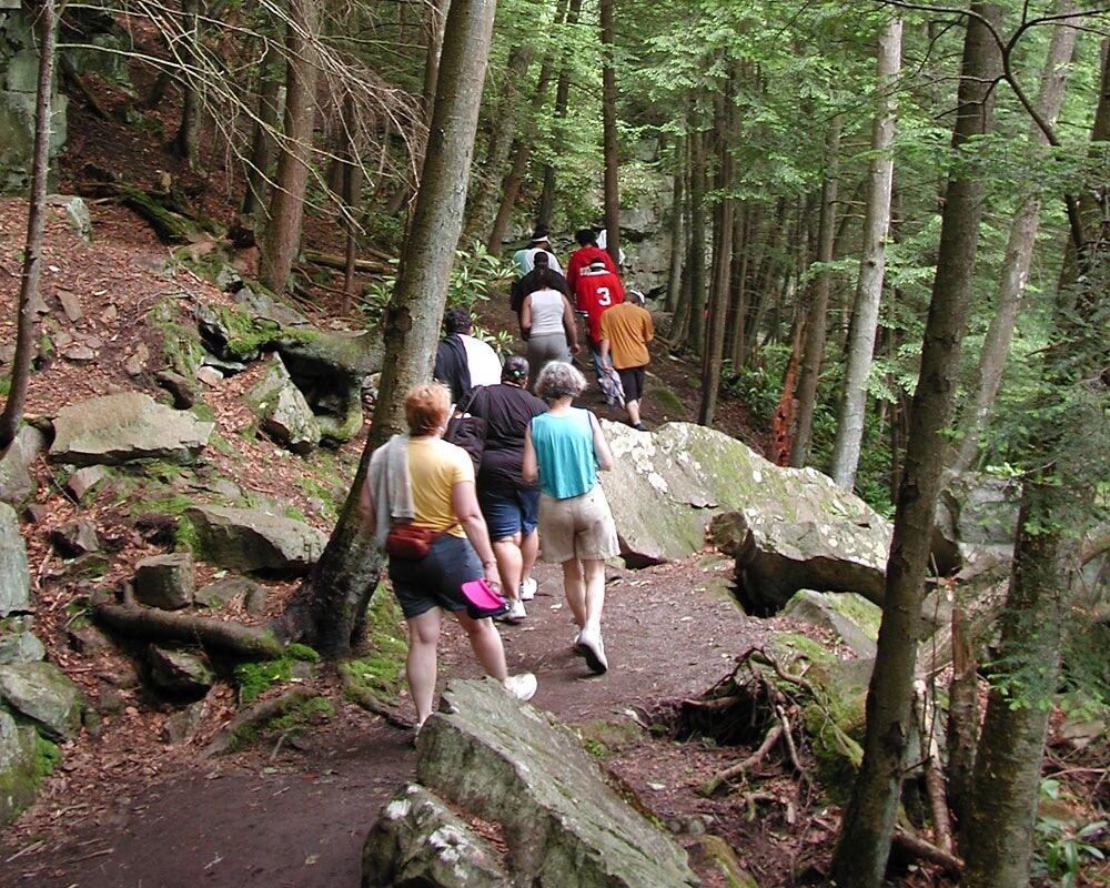 Picture of All Earth Eco Tours