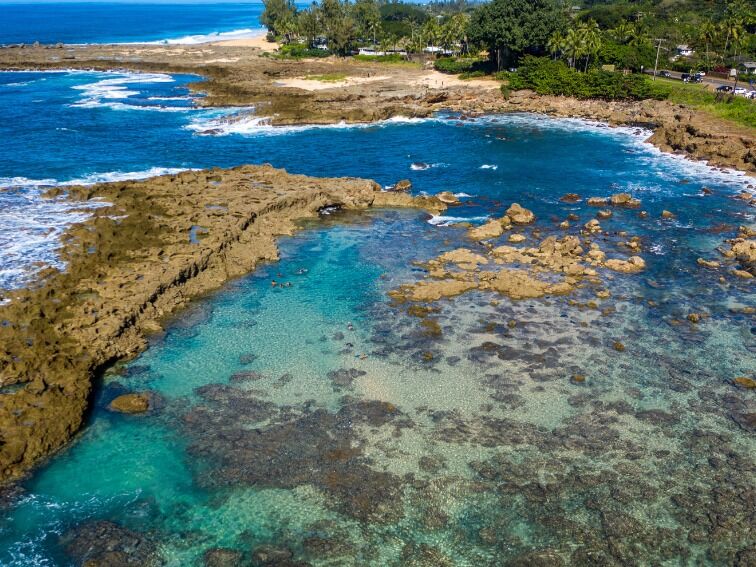 Picture of Sharks Cove Rentals
