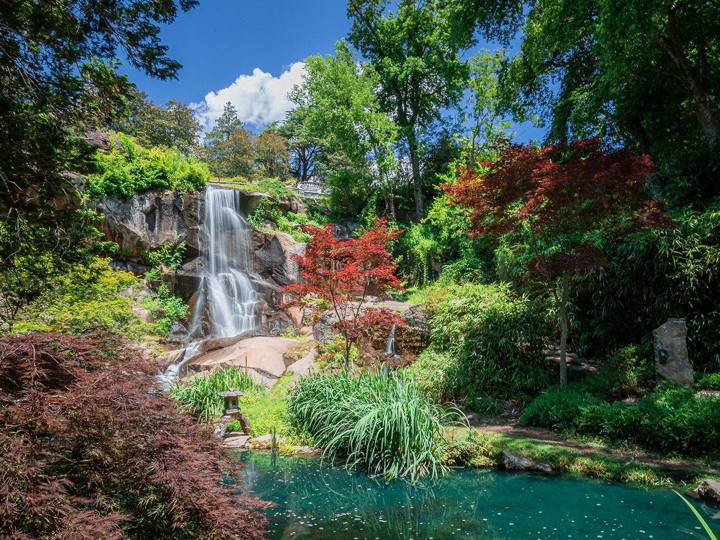 Picture of Maymont