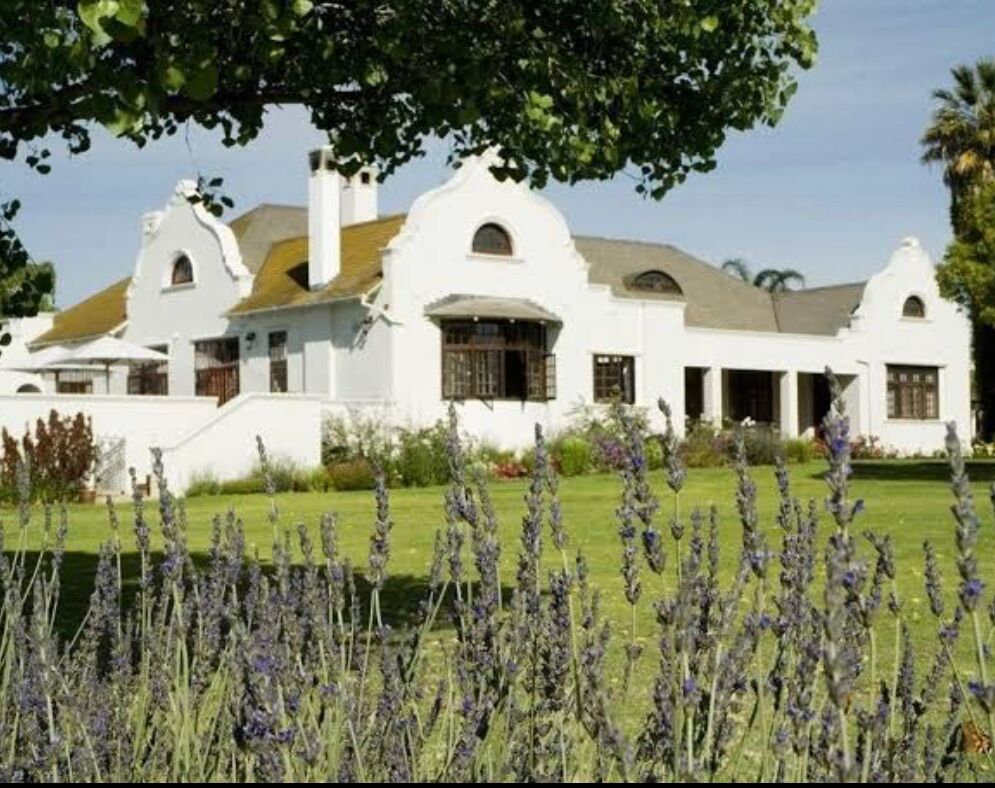 Picture of Excelsior Manor Guesthouse