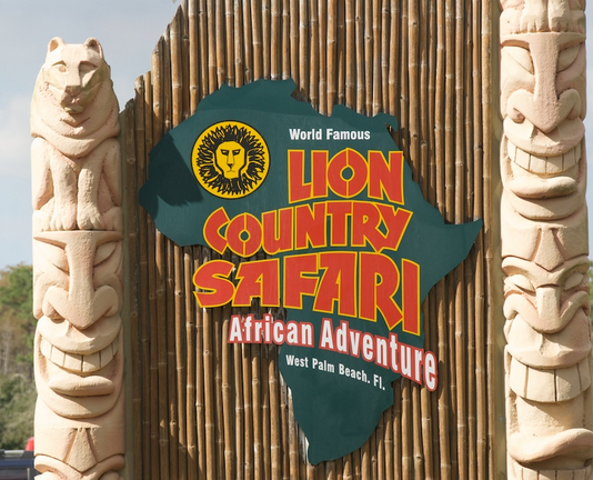 Picture of Lion Country Safari
