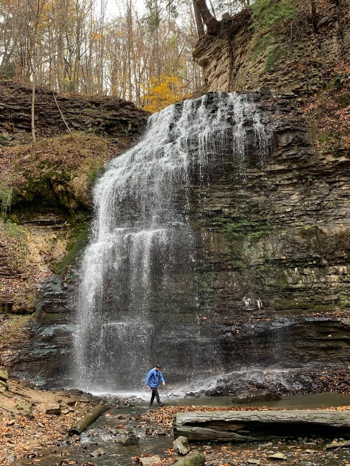 Picture of Hamilton Waterfalls