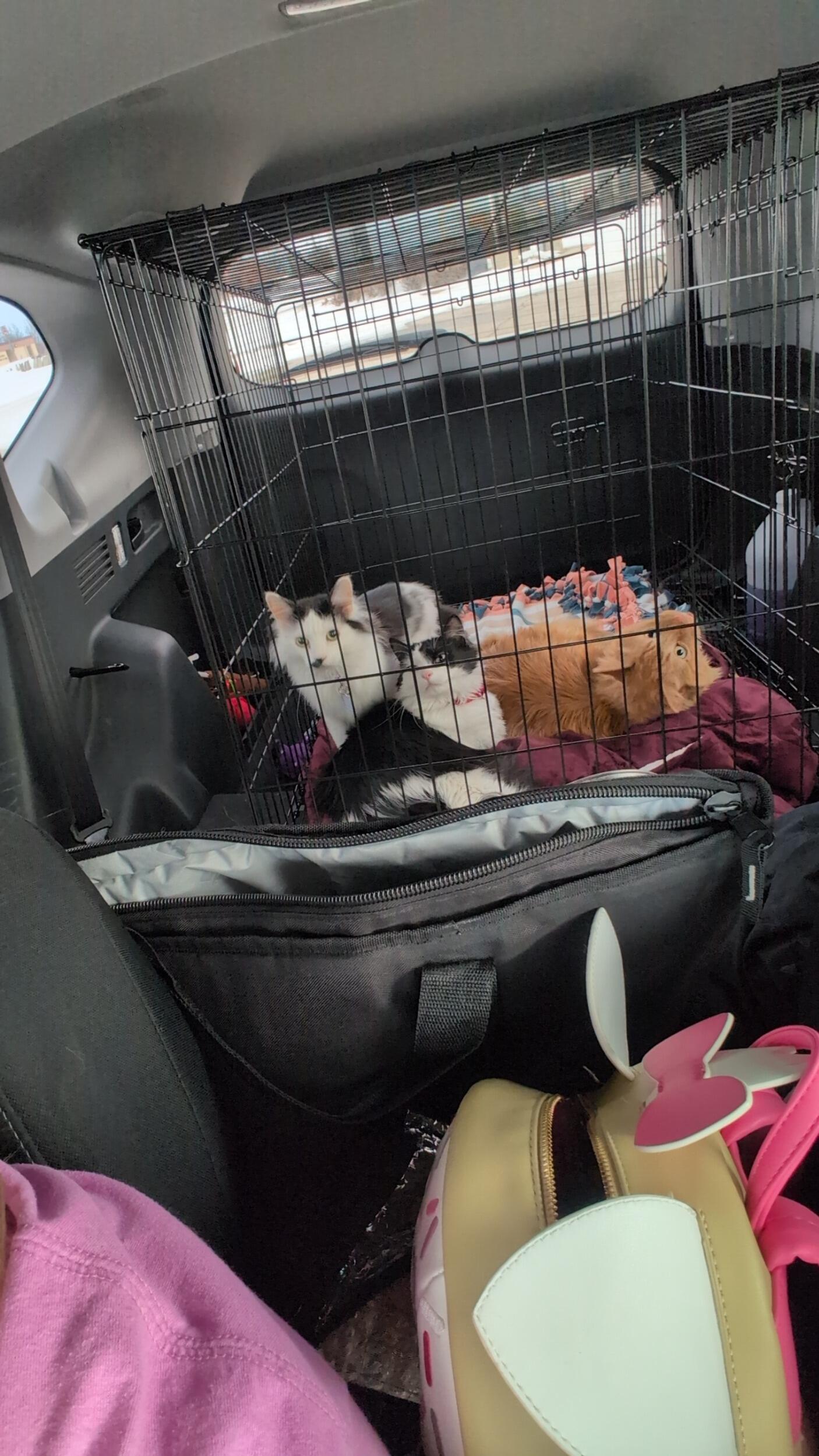 We Moved to Kansas!