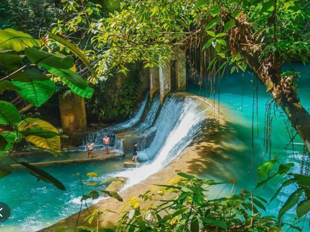 Picture of Kawasan Falls