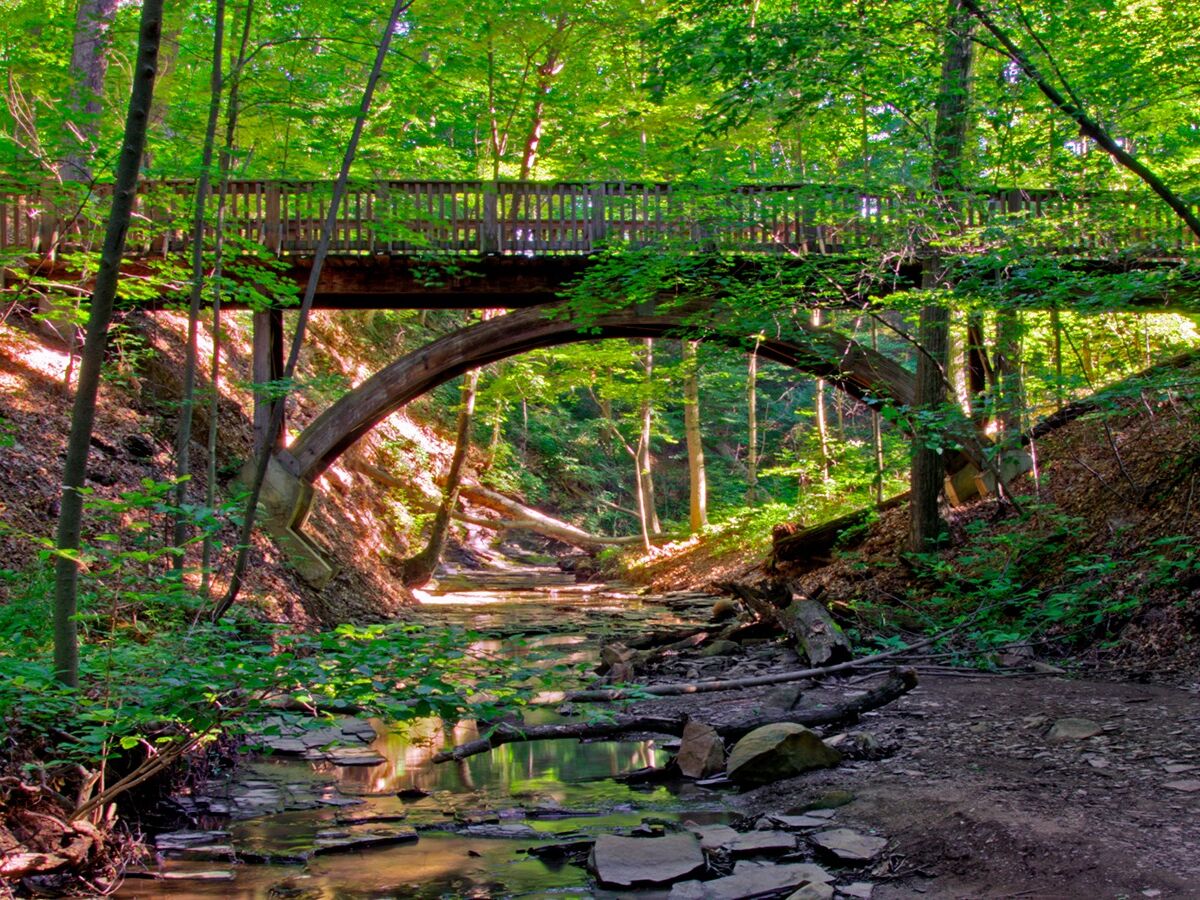 Picture of Highbanks Metro Park