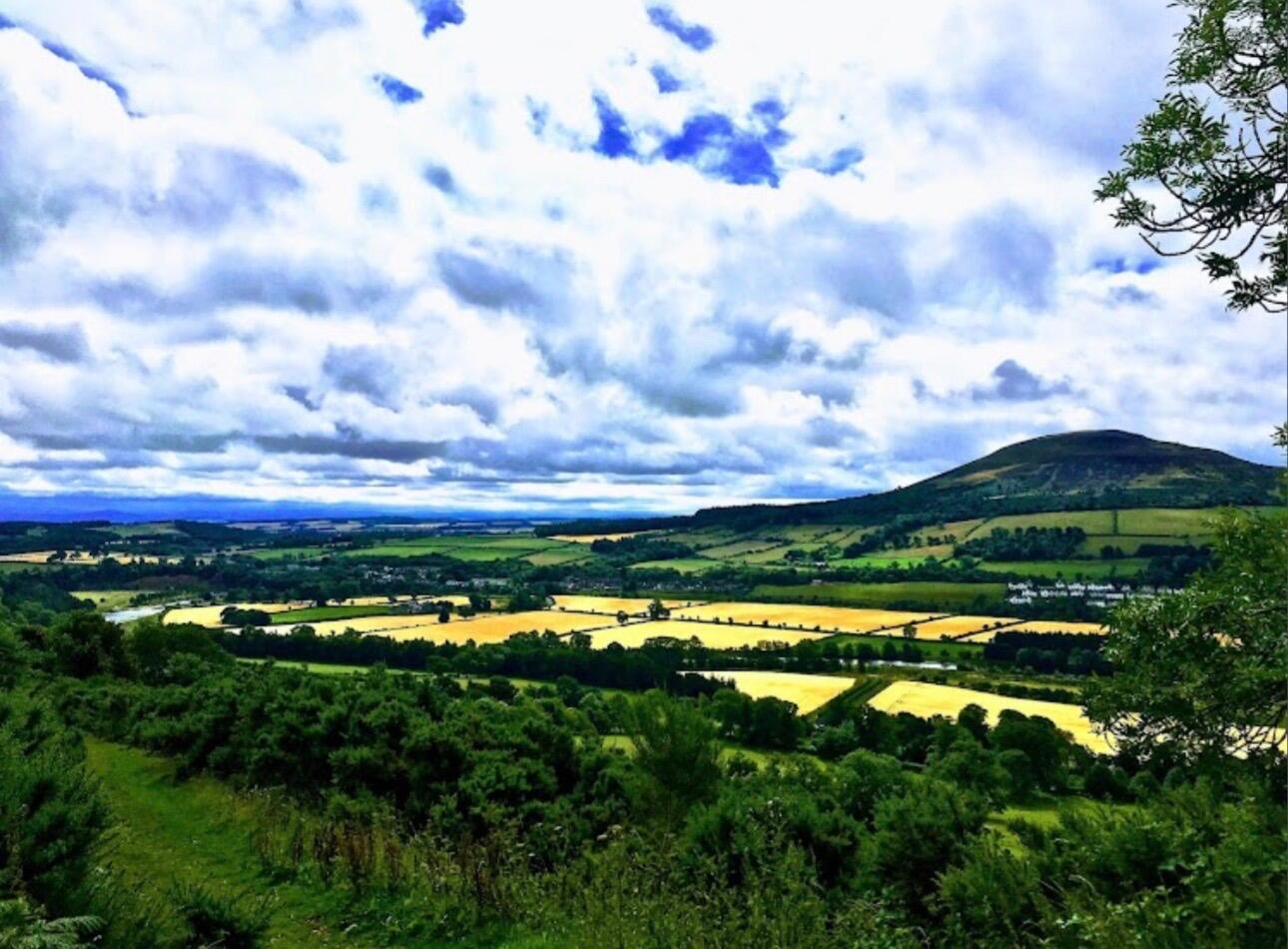 Picture of Ride Scotland's Horse Country