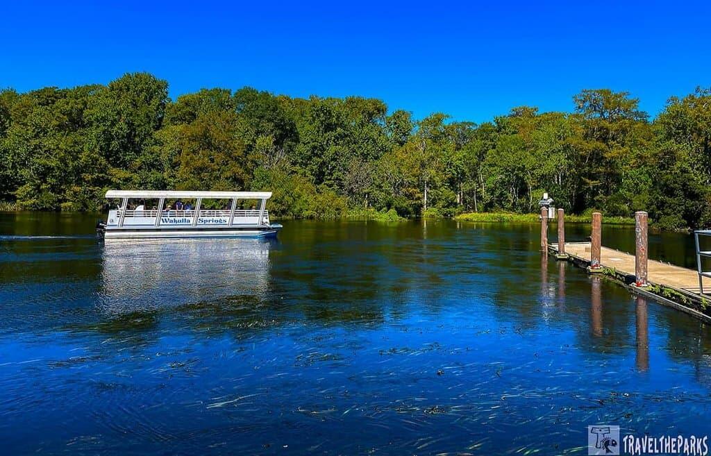 Picture of Jungle Cruise Boat Tour