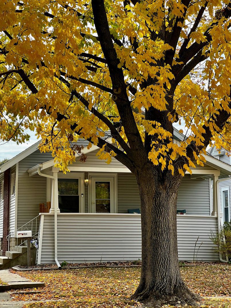Picture of Maple Leaf Bungalow