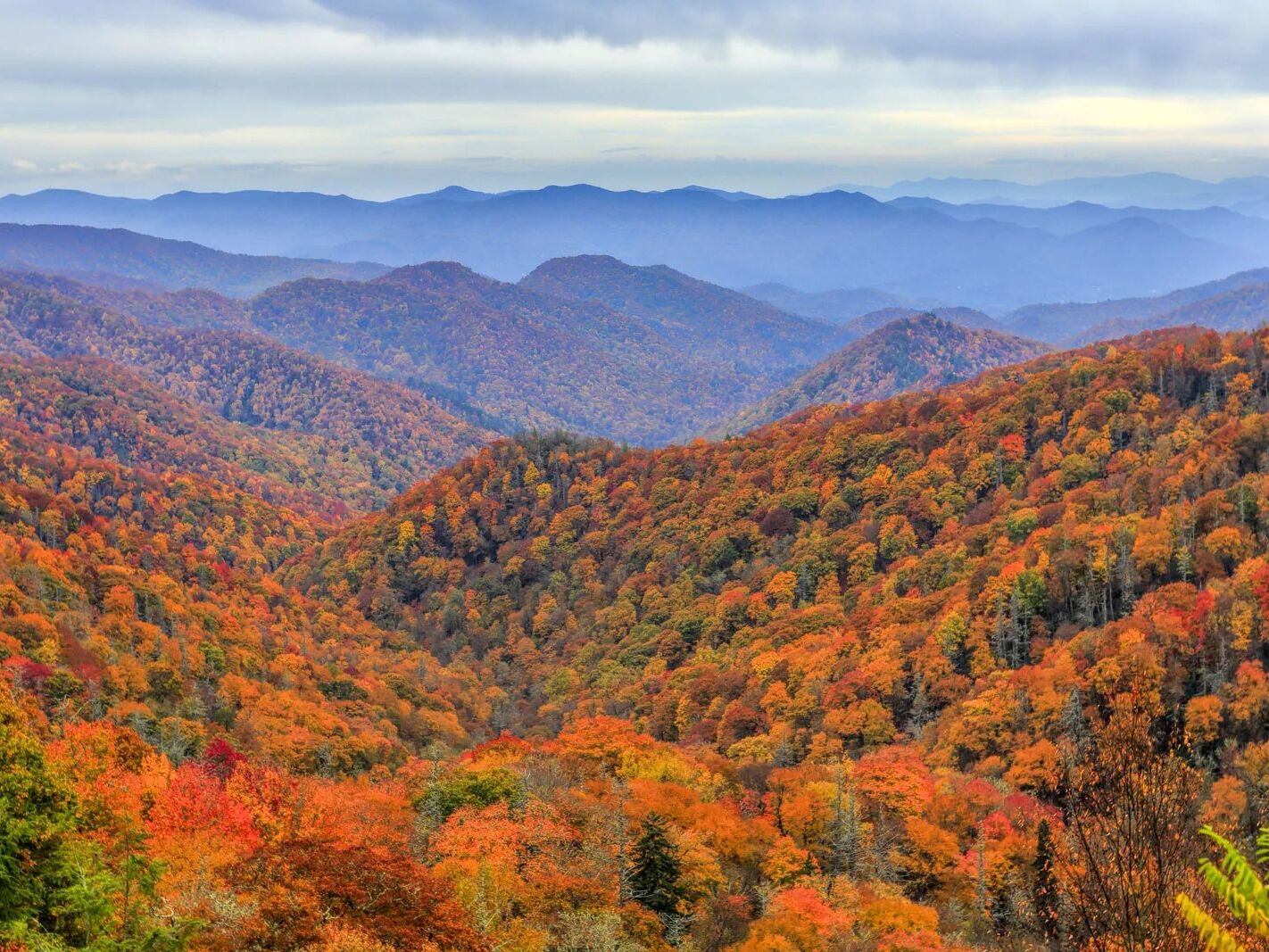 Picture of Great Smoky Mountains National Park