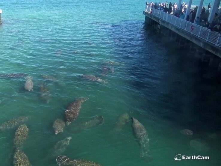 Picture of Manatee Lagoon