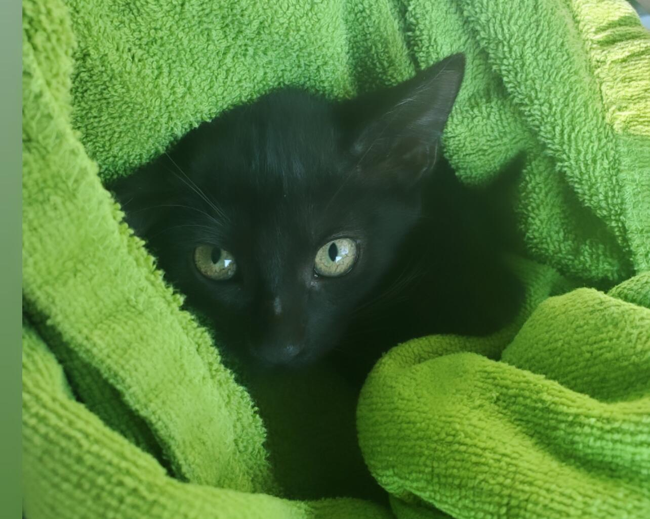 Picture of We welcomed our son 