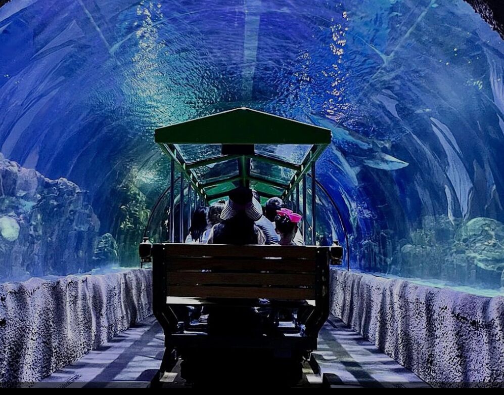 Picture of Downtown Aquarium