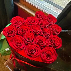 Gallery Photo 10