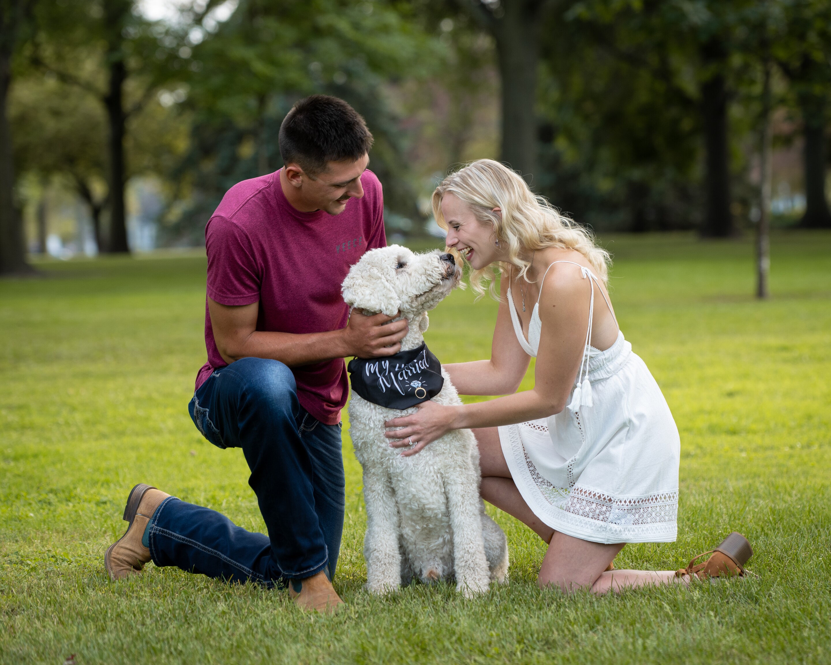 Cole & Taylor Home Page Banner