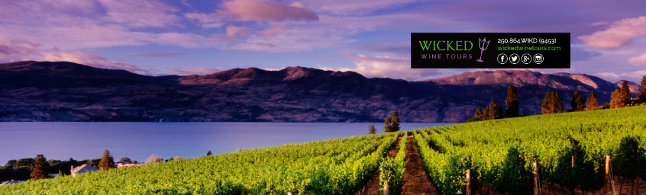 Picture of Wicked Wine Tours