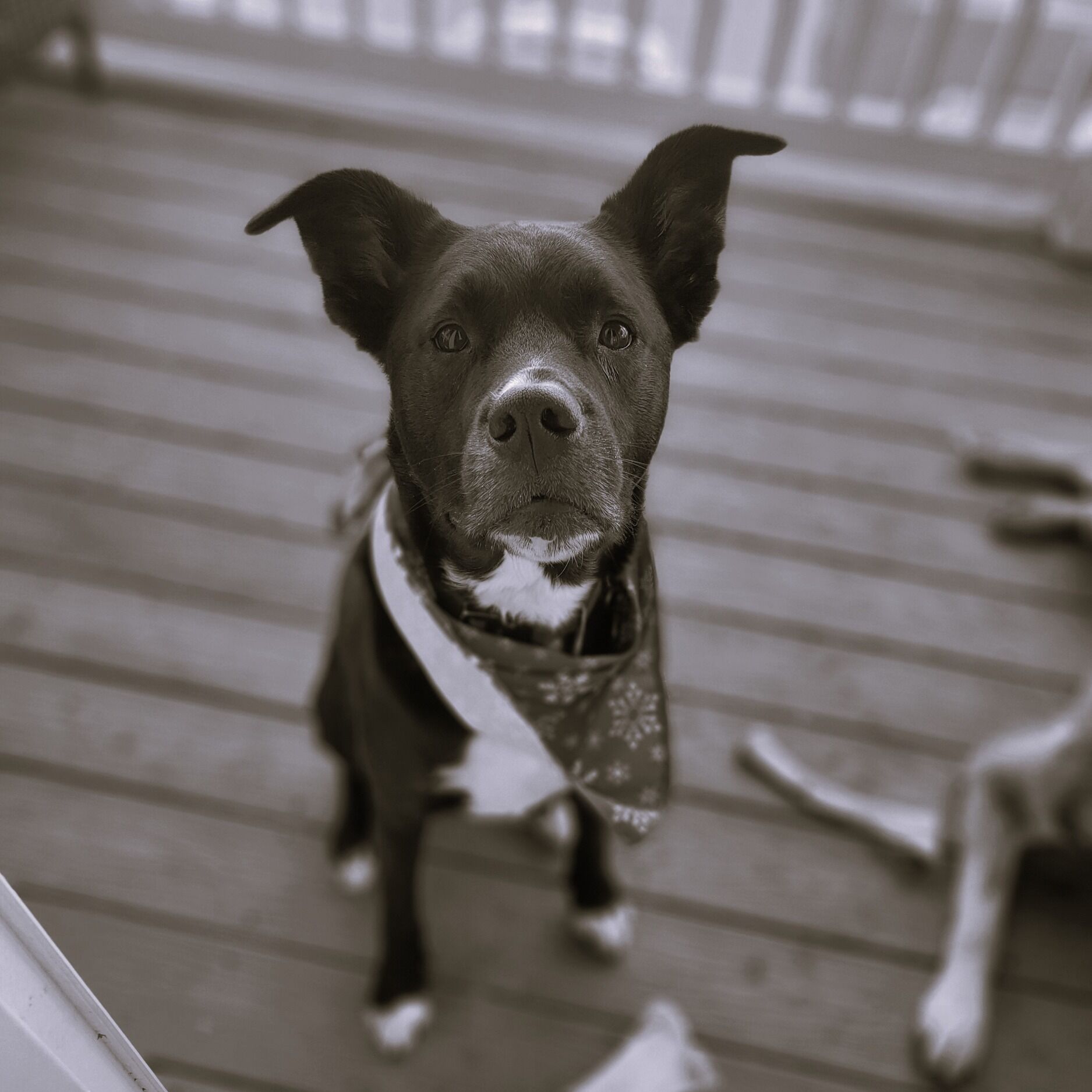 Picture of ATLAS