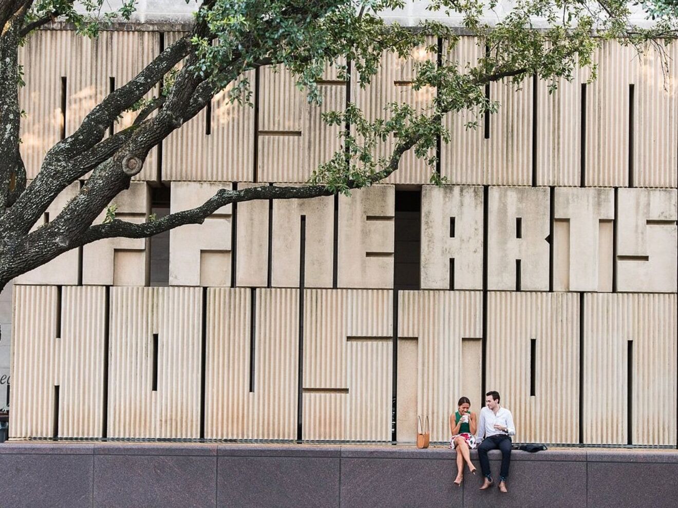 Picture of The Museum of Fine Arts, Houston