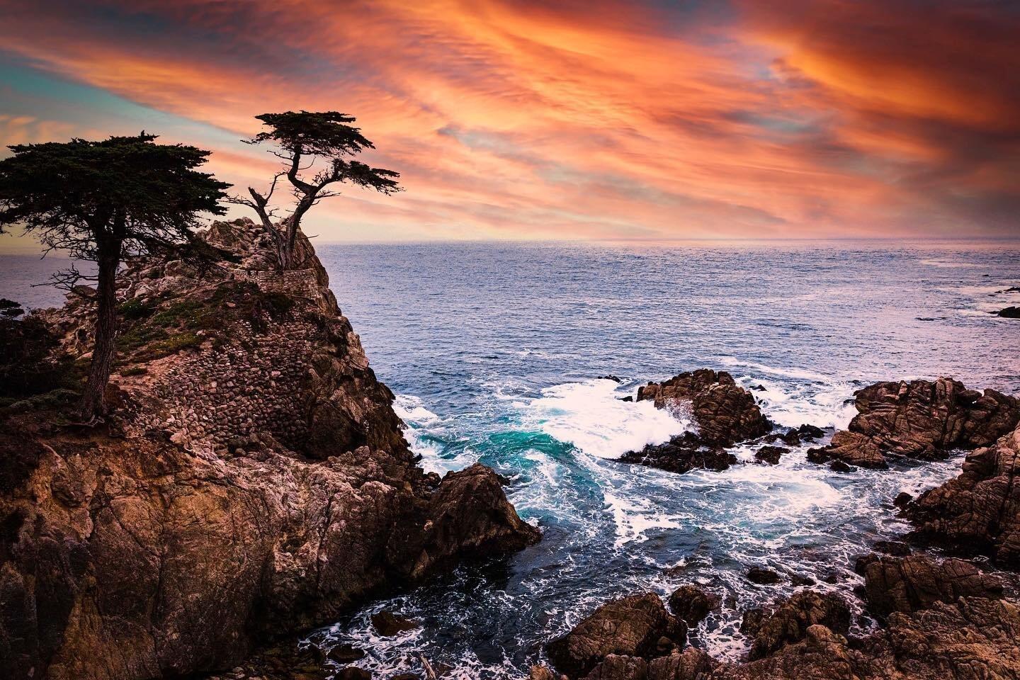Picture of 17-Mile Drive