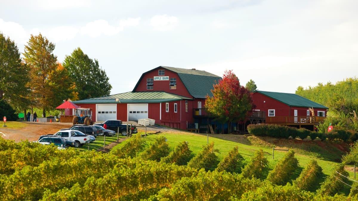 Picture of Carter Mountain Orchard and Country Store