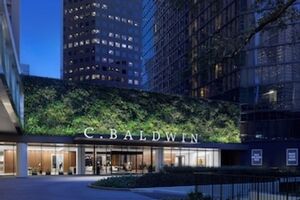 Picture of C. Baldwin Curio Collection by Hilton