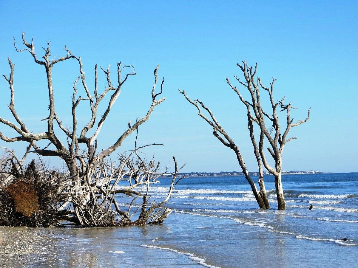 Picture of Botany Bay Heritage Preserve/Wildlife Management Area