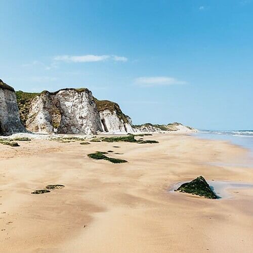 Picture of White Rocks Beach