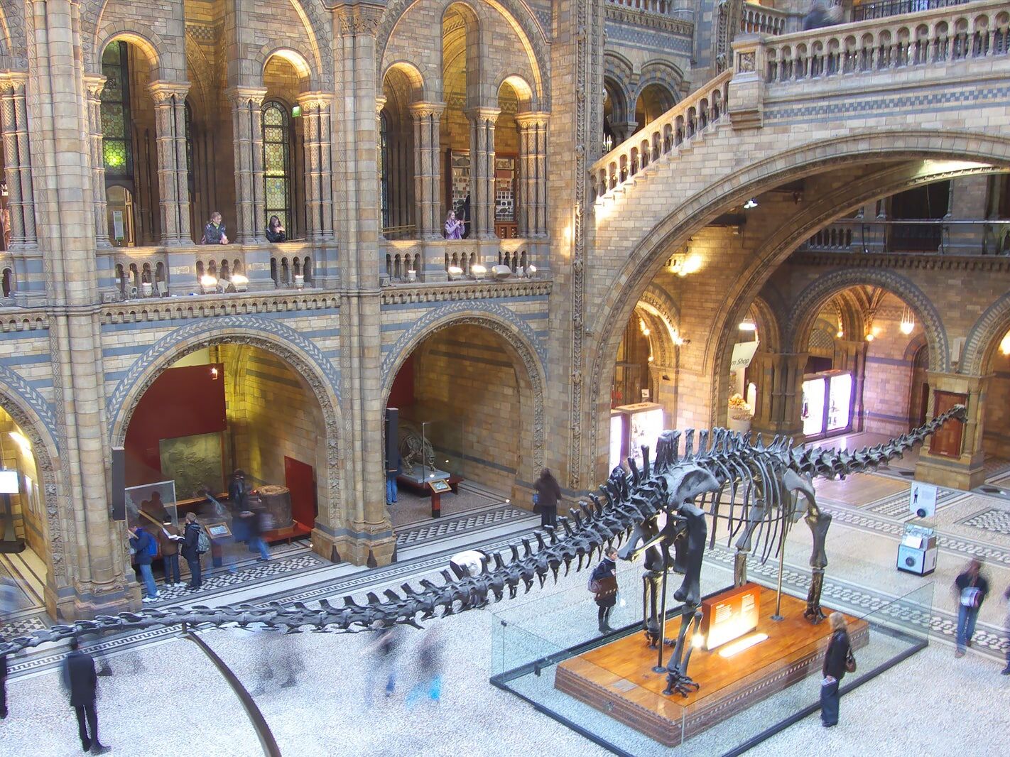 Picture of Natural History Museum