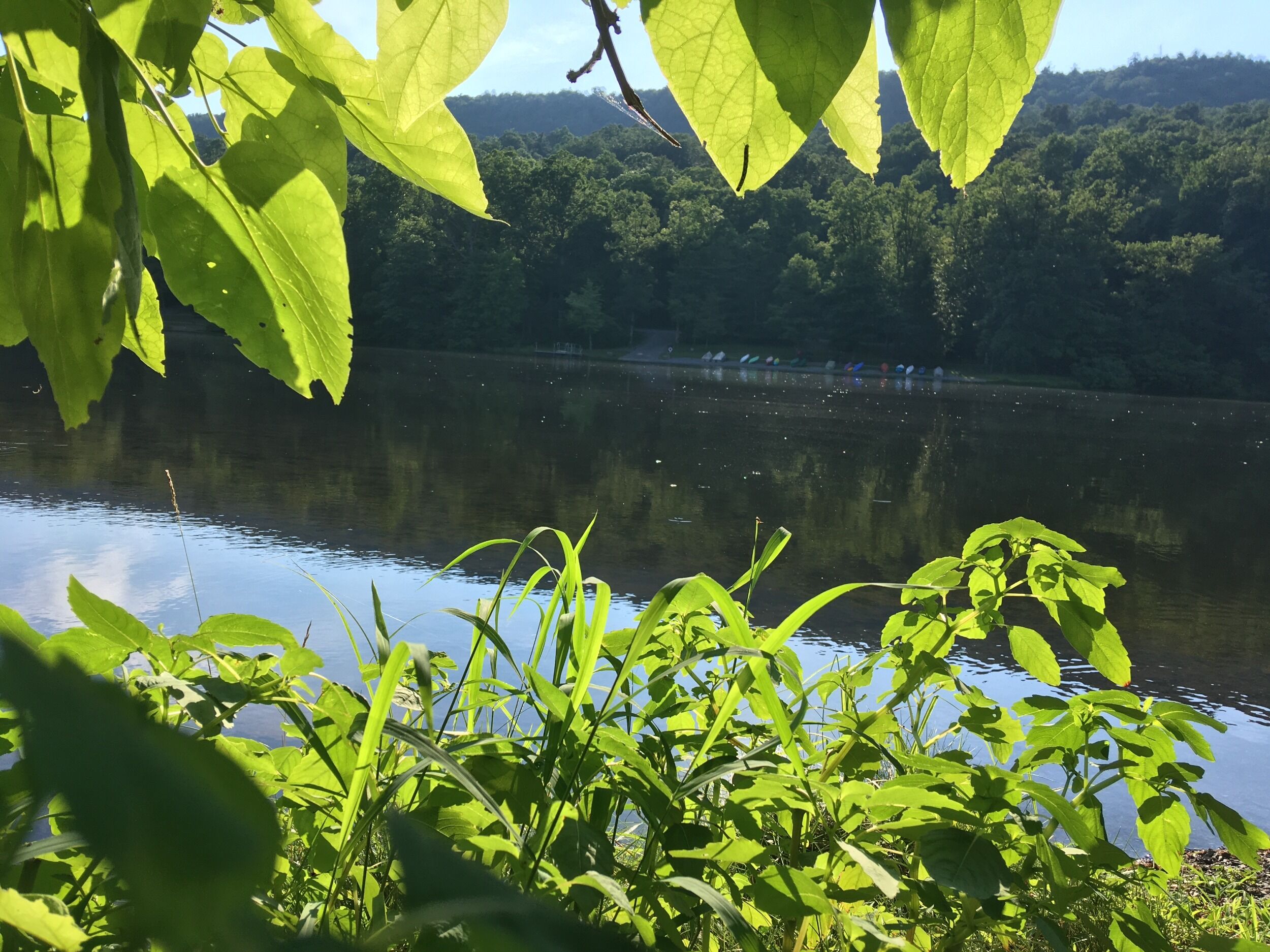 Picture of Cowans Gap State Park