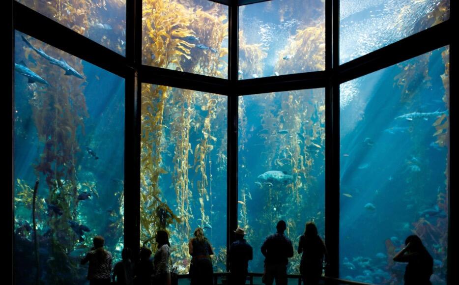 Picture of Monterey Bay Aquarium