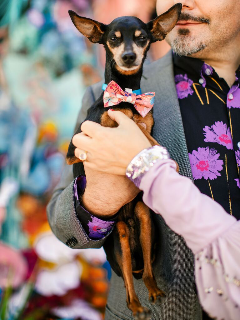 Groom holding dog wearing a colorful bow tie for a photo shoot.