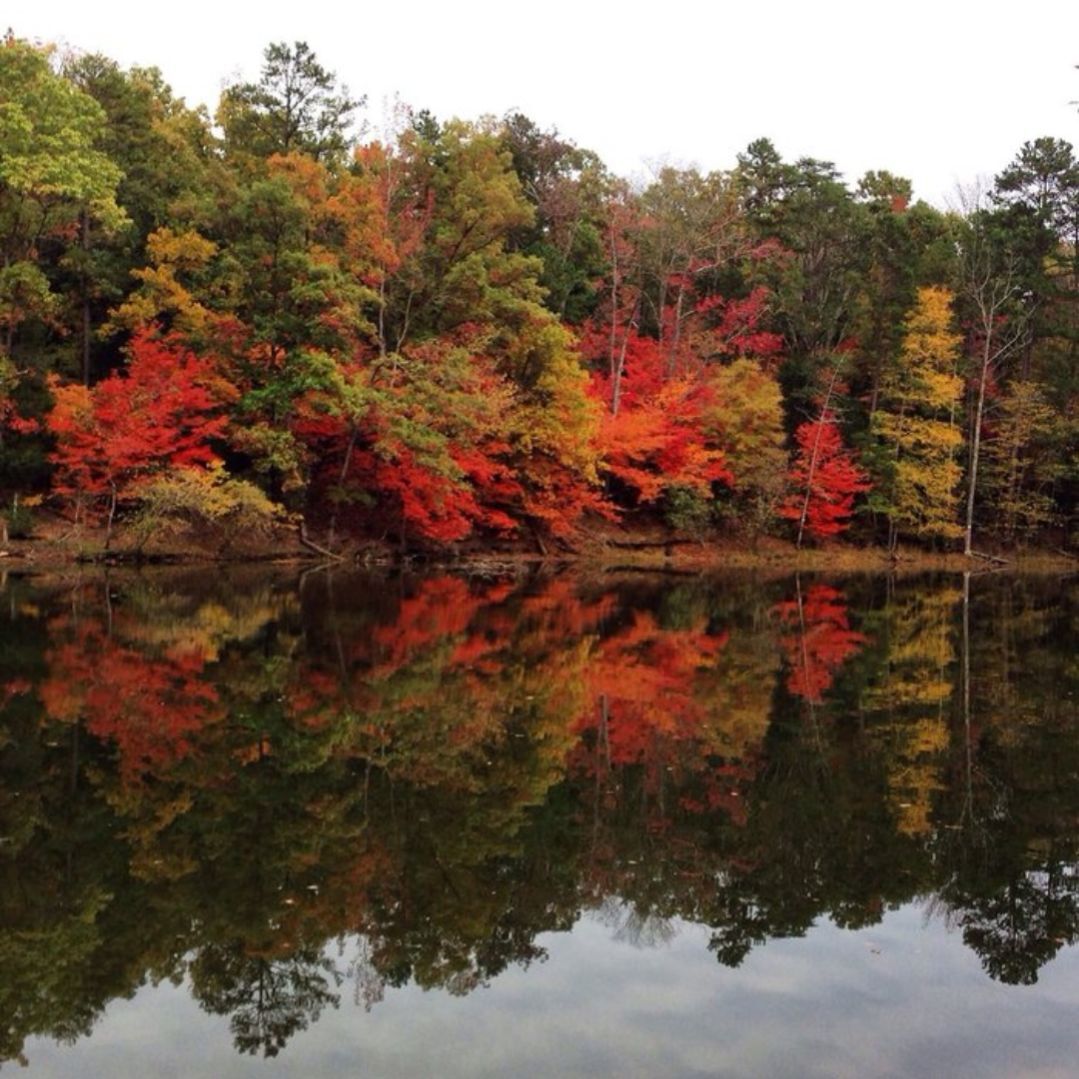 Picture of McDowell Nature Preserve 