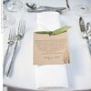 Outdoor Wedding in Chicago, IL