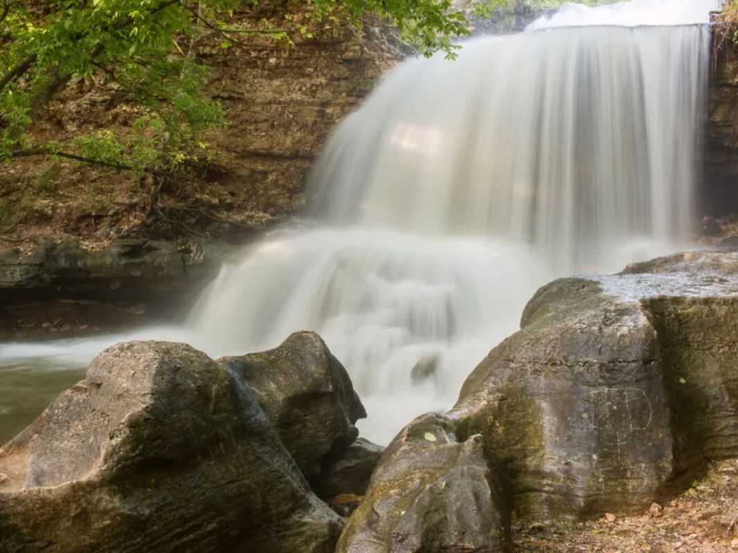 Picture of Tanyard Creek Nature Trail