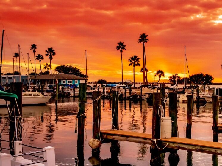Picture of Dunedin Pier