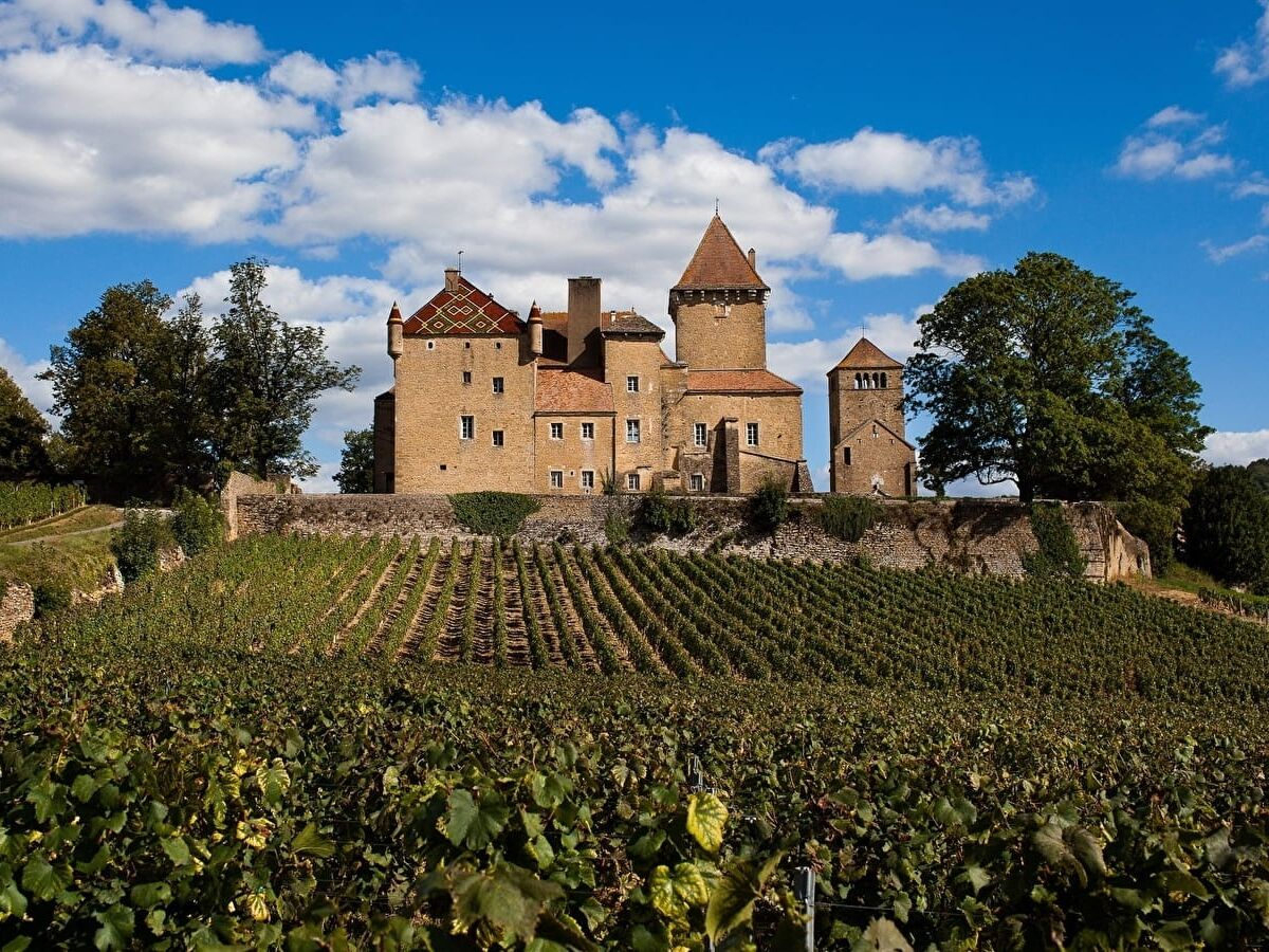 Picture of Castle Pierreclos