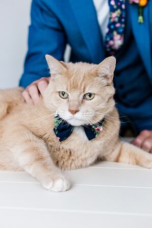 Floral Cat Bow Tie